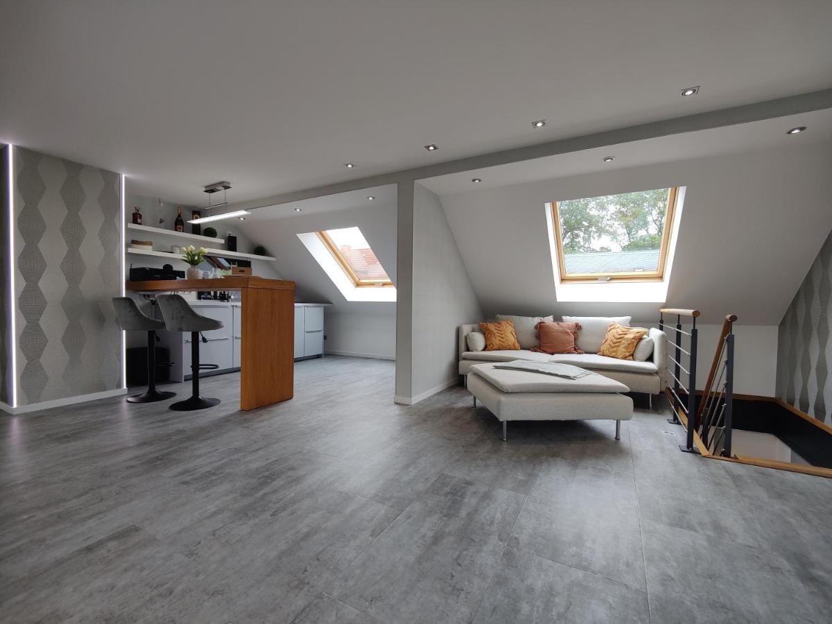 Ferienhaus Villa Adelsberg Mit Dachterrasse In Zentraler Lage Fuer Bis Zu 10 Personen 켐니츠 외부 사진