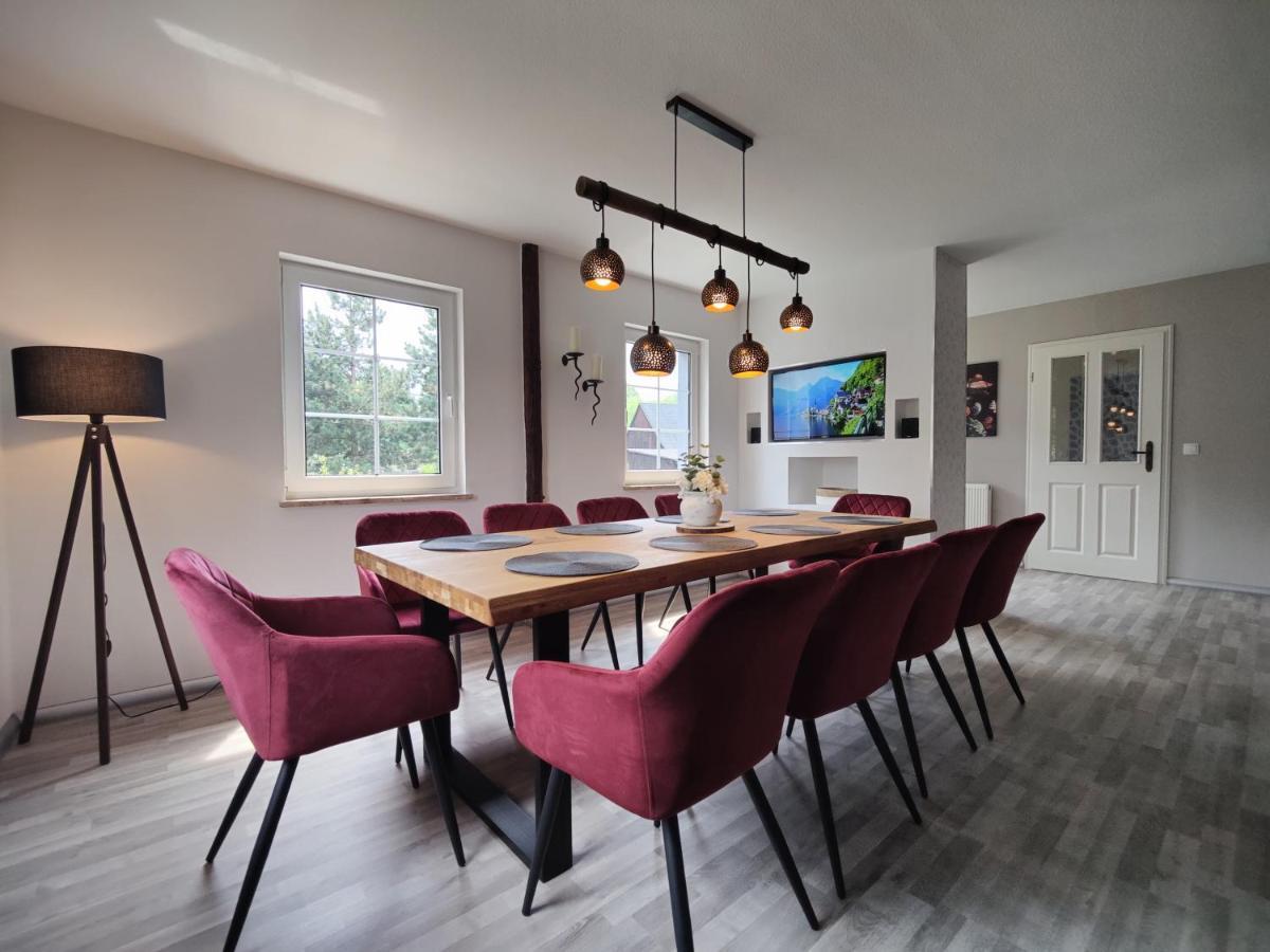 Ferienhaus Villa Adelsberg Mit Dachterrasse In Zentraler Lage Fuer Bis Zu 10 Personen 켐니츠 외부 사진
