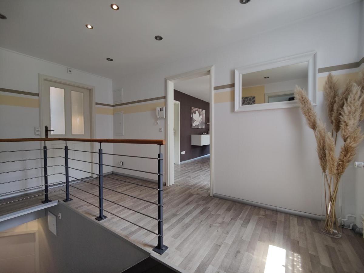 Ferienhaus Villa Adelsberg Mit Dachterrasse In Zentraler Lage Fuer Bis Zu 10 Personen 켐니츠 외부 사진