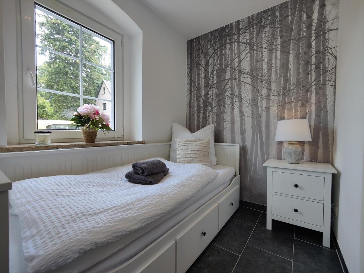 Ferienhaus Villa Adelsberg Mit Dachterrasse In Zentraler Lage Fuer Bis Zu 10 Personen 켐니츠 외부 사진