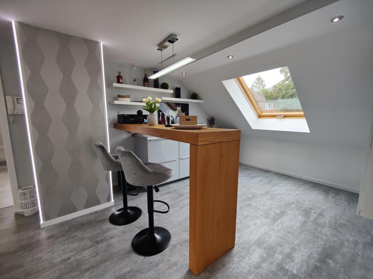 Ferienhaus Villa Adelsberg Mit Dachterrasse In Zentraler Lage Fuer Bis Zu 10 Personen 켐니츠 외부 사진